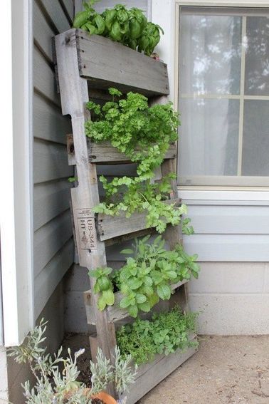 Las paletas son su activo para colocar una pared verde en un pequeño balcón.  Plante sus hierbas aromáticas para la ensalada del próximo verano en estas mini macetas.