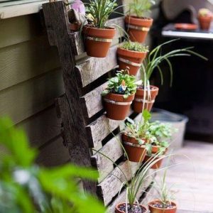 Un muro verde no es complicado de componer: con una paleta y algunas plantas en macetas, la decoración de tu balcón se puede transformar en pocos minutos para darle un toque de naturaleza.