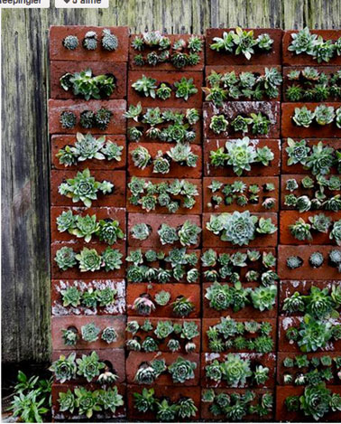 Diseño de un jardín en un balcón hecho con una pared de ladrillo perforada para acomodar plantas suculentas en crecimiento