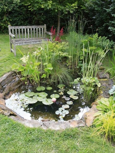El romanticismo absoluto de esta decoración de exterior viene marcado por un encantador estanque de jardín y un banco de madera donde sentarse en el corazón de la vegetación.