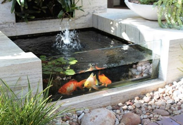 El deleite de grandes y pequeños se expresa en esta moderna piscina, que permite observar a los peces a través de su ventana. Un diseño de jardín elegante y con estilo.